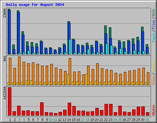 Daily usage for August 2024