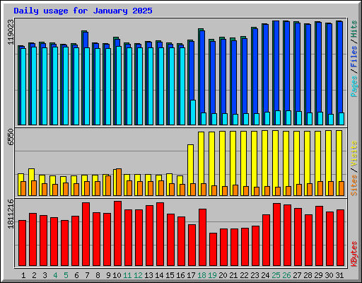 Daily usage for January 2025