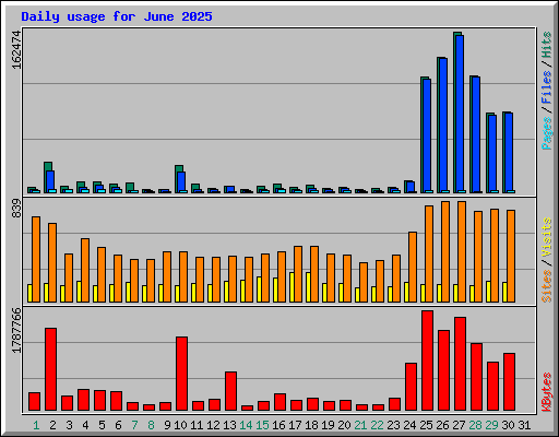 Daily usage for June 2025