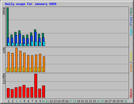 Daily usage for January 2026