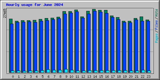 Hourly usage for June 2024