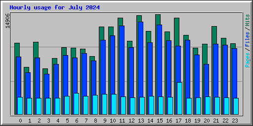 Hourly usage for July 2024