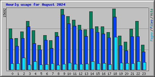 Hourly usage for August 2024