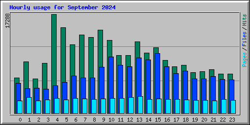 Hourly usage for September 2024