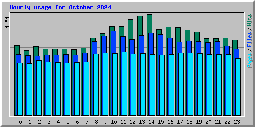 Hourly usage for October 2024