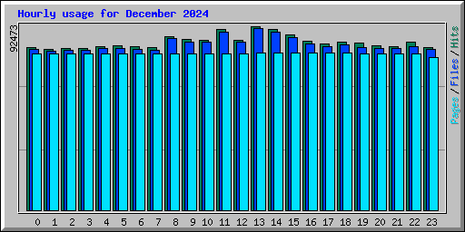 Hourly usage for December 2024