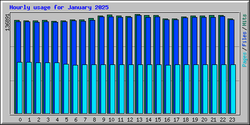Hourly usage for January 2025