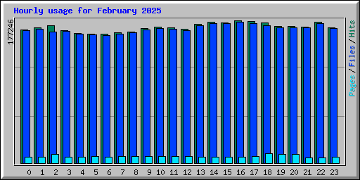 Hourly usage for February 2025