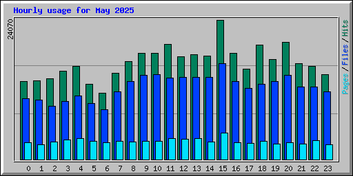 Hourly usage for May 2025
