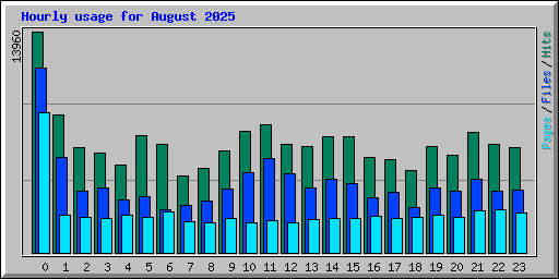 Hourly usage for August 2025