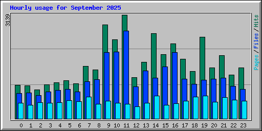 Hourly usage for September 2025
