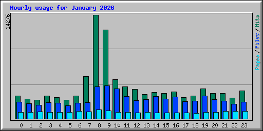 Hourly usage for January 2026
